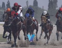 Saudi Cup Horse Racing