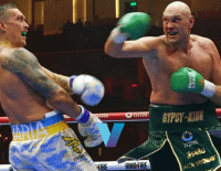 Fury Vs Usyk