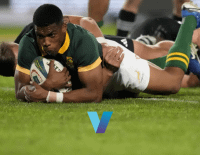 Rugby Union Betting Picks England v South Africa 11-16-2024