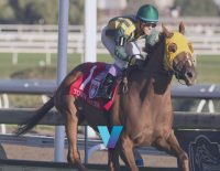 Town Cruise could do it again at Woodbine
