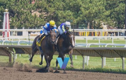 Kentucky Derby Burnham Square Upside Right Price