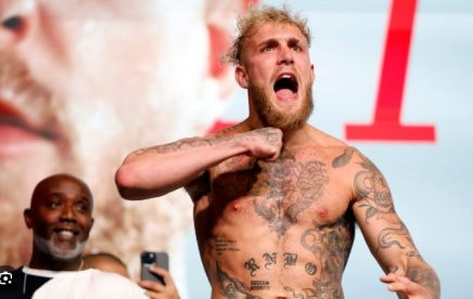 Jake Paul vs Julio Cesar Chavez Jr picks