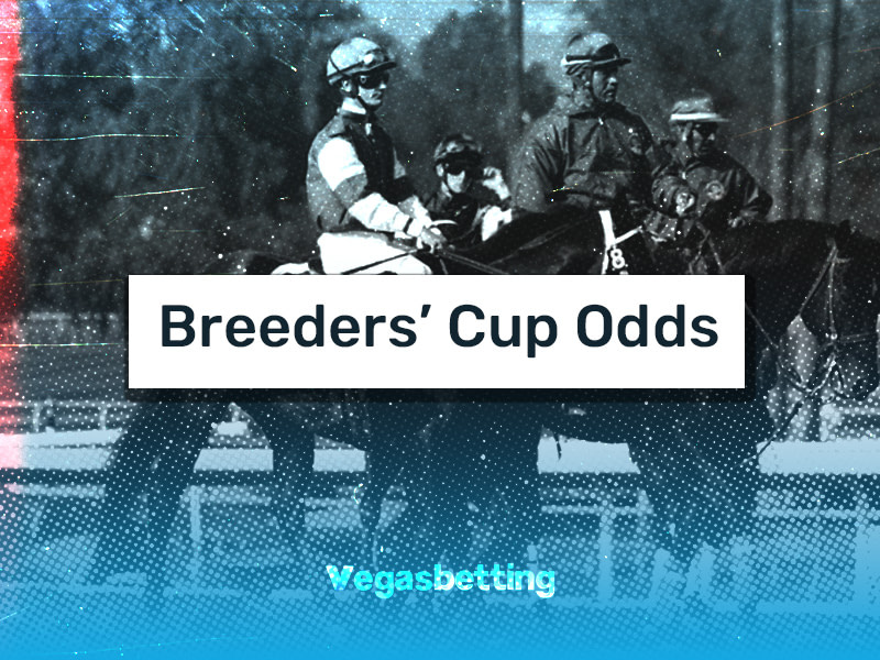 Breedeers Cup Odds