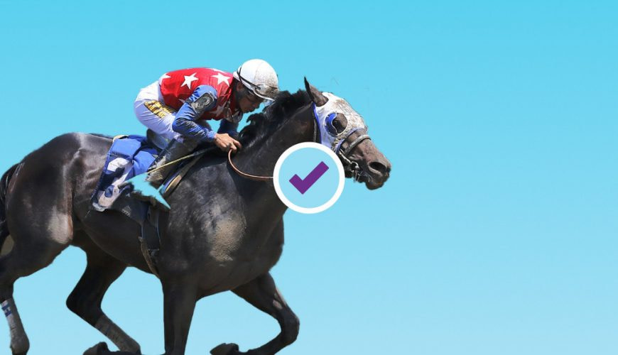2021 Haskell Stakes Betting Picks