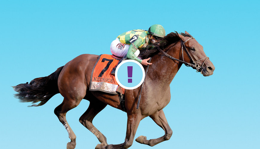 preakness stakes 2021 betting picks and odds