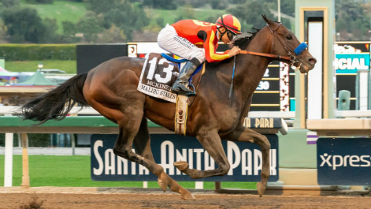 Breeders Cup 2019 Odds & Predictions