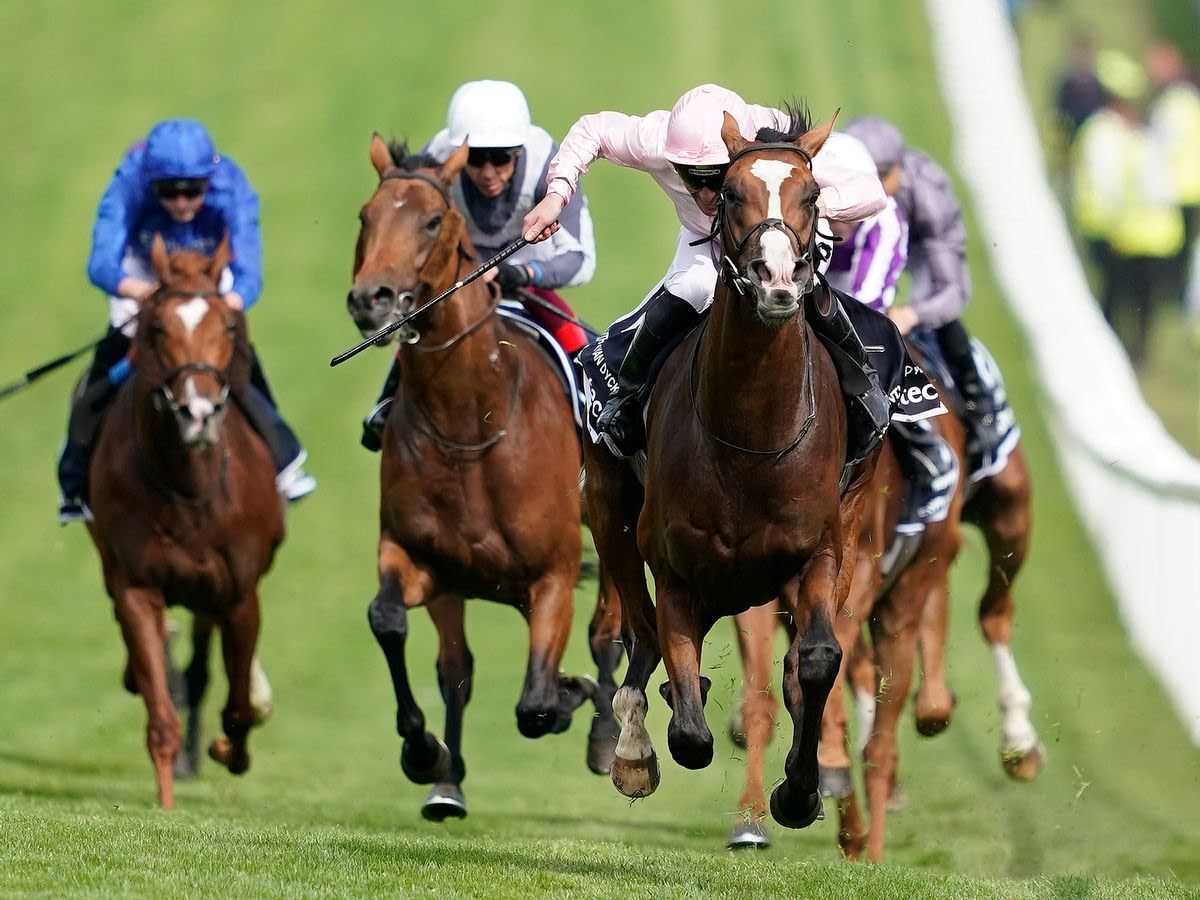 Horse Racing Betting Odds