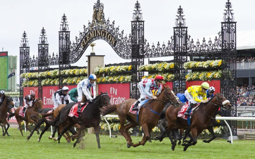 Melbourne Cup Odds