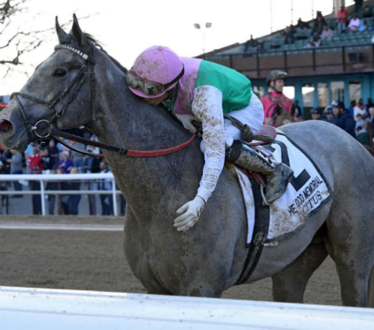 Travers Stakes 2019 Odds & Predictions