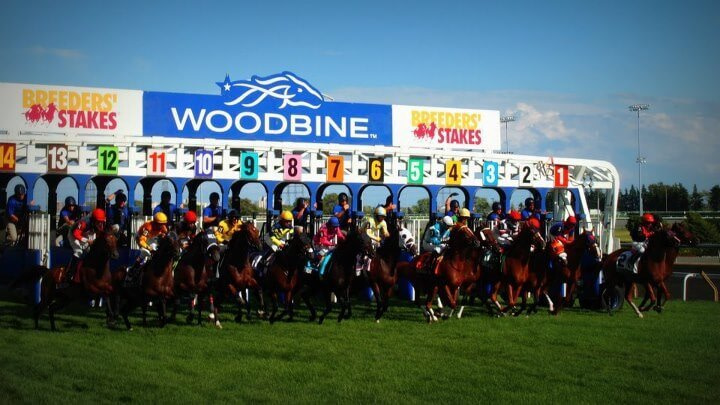 Woodbine Horse Racing Betting Odds